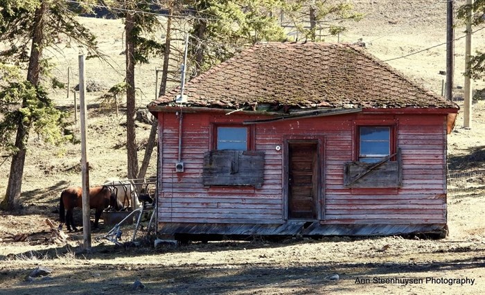 This abandoned house sits on a backcountry road near Chase. 