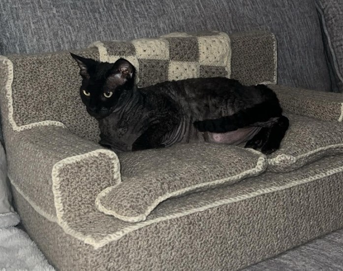 A cat stretches out on a miniature grey couch. 