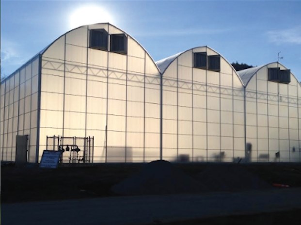 A greenhouse system similar to the one pictured on Kaneh Bosm Biotech's website is proposed for Penticton Indian Band reserve land.