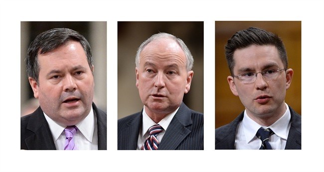 Three federal cabinet ministers were given new responsibilities Monday, Feb. 9, 2015 by Prime Minister Stephen Harper in the wake of former foreign affairs minister John Baird's abrupt resignation last week. From left: Jason Kenney, Rob Nicholson and Pierre Poilievre.