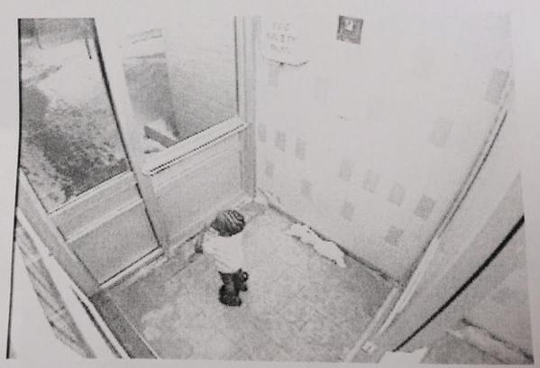 A surveillance camera caught an image of Elijah moments before he wandered outside into -20 C weather.
