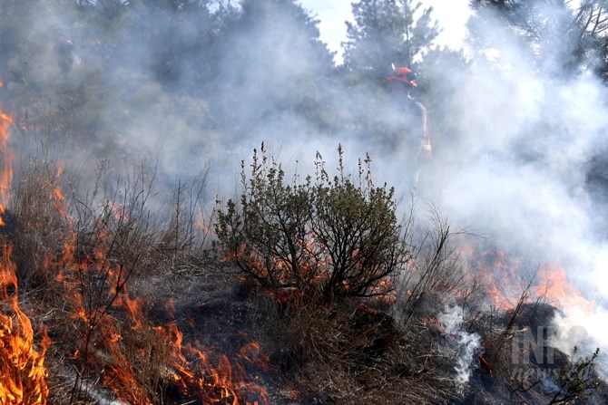 The prescribed burns at Kenna Cartwright Park will help reduce the amount of sagebrush and allow bunchgrass to grow back, which will help stabilize the natural ecosystem.