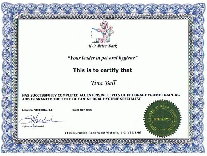 Tina Bell's 'certificate.'