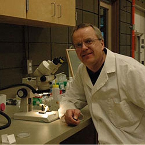 Dr. Robert Higgins in the lab