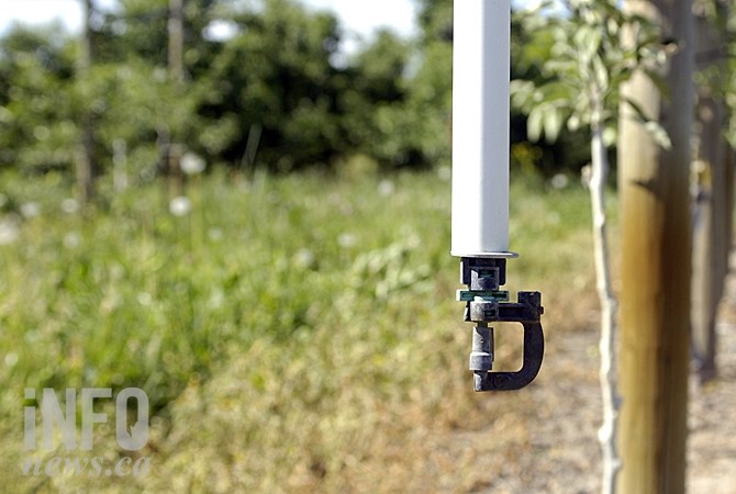 Most Okanagan orchardists have upgraded their irrigation systems to be more precise and waste less water.