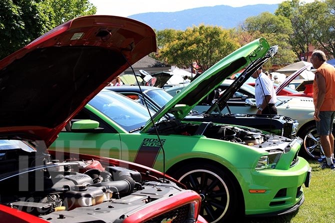 Mustang Alley at the Penticton Peach City Beach Cruise, Saturday, June 27, 2015.