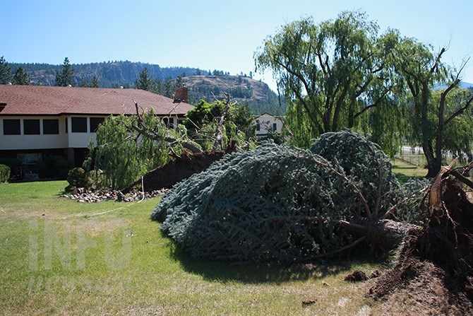 Ruth and Kurt Klaes lost seven trees on their property as a result of Monday's storm.