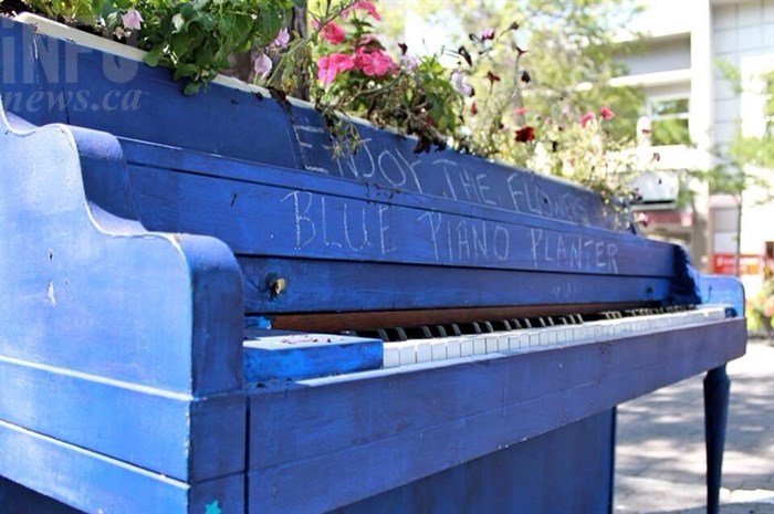 The vandalized blue piano was repurposed as a flower planter and sits half a block from its old location on Victoria Street.