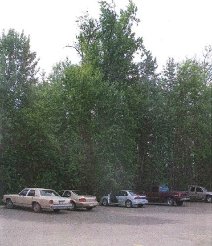 In this 2007 photo, you can see the trees that used to border the Walmart parking lot. 