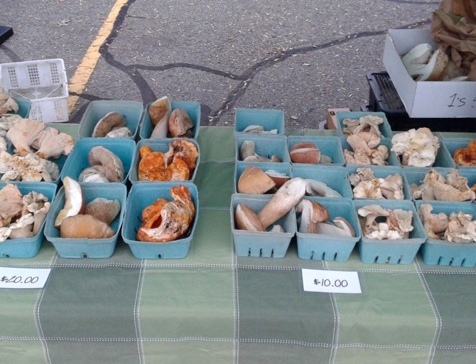 Products on display at the Kelowna Farmers and Crafters Market.