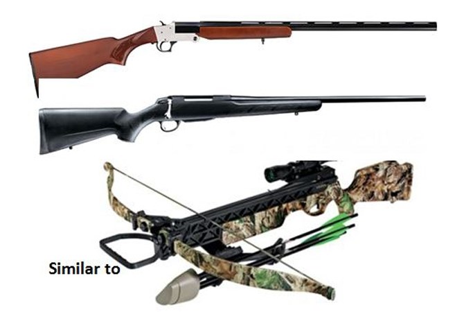 Weapons similar to these were stolen from a truck in Lake Country.