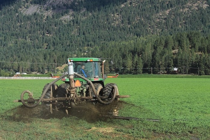 Manure is spread on the 210 acre field owned by HS Jansen and Sons Farm Ltd. in Vernon.This practice sparked controversy among Spallumcheen residents after they were put on a water advisory in 2014.