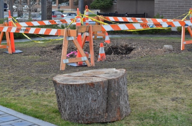 The tree was chopped down in November 2015 and fully removed in mid-March 2016. 