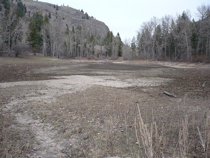 The Turtle Pond, part of the Twin Lakes aquifer during the last dry cycle in 2009.