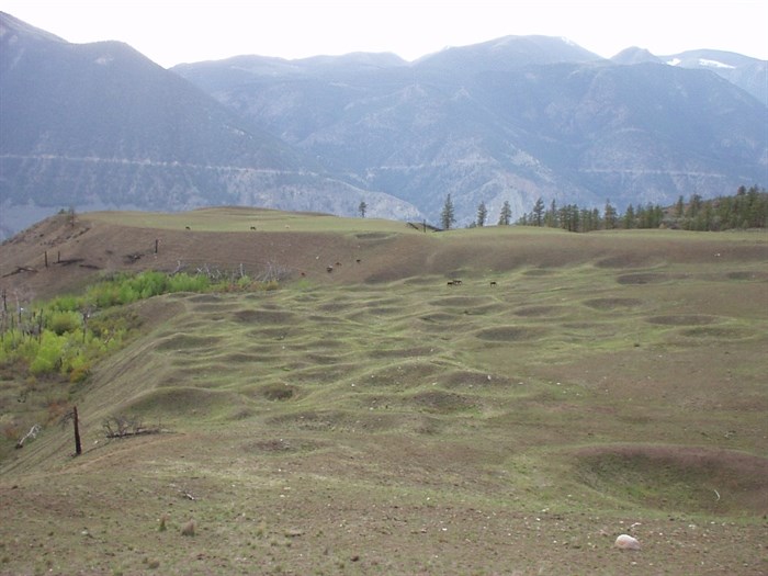 The remnants of pithomes at Keatley Creek near Lillooet, with horses for size comparison.