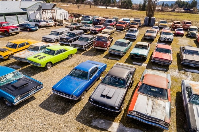 Some of the cars on the property Mike Hall is selling.