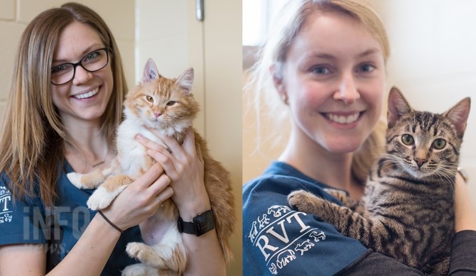 Rebecca White (left) is holding Shelley, and Sydney Van Eyk (right) is holding Link. Both cats are available and ready for adoption from the TRU animal health technology program.