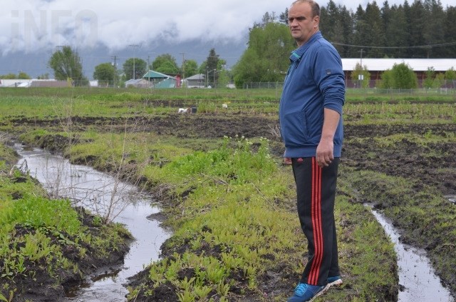 Dorel Krsta dug trenches throughout his field, but the ground remains too saturated to plant. 