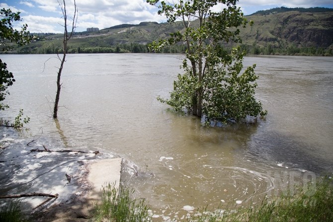 The Thompson River keeps rising at McArthur Island Park.