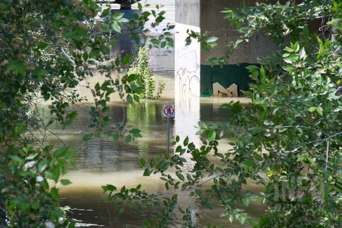 Water under the Overlanders bridge has crept up past the sandbar and trees. 
