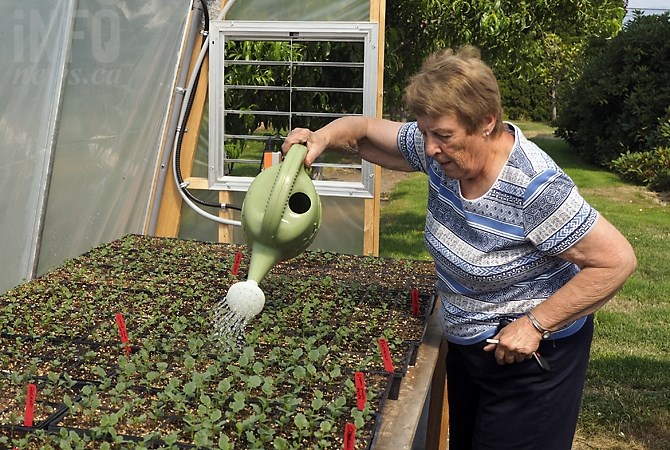 Germaine Hogue tends to seedlings in one of her greenhouses.