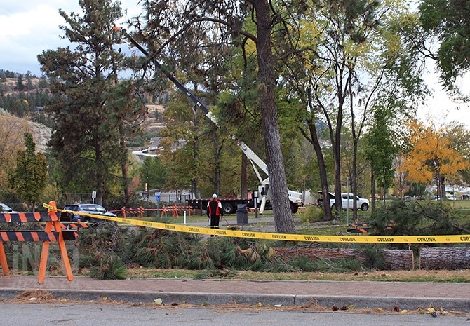 Crews clean up in Skaha Lake Park in Penticton, Tuesday, Oct. 18, 2017, after several trees were toppled by strong winds.