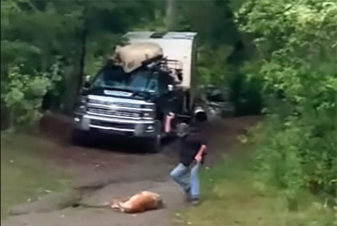 A screenshot from a video of a man winding up before striking a cougar with a machete. 