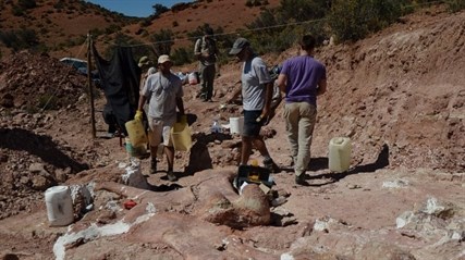 This photo released on Saturday, May 17, 2014 shows a team of paleontologists working at the site where the bones of a sauropod dinosaur were unearthed, near Trelew, Argentina.
