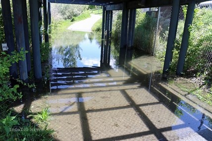 Water under the bridge-the CN underpass along the Rivers Trail in Riverside Park is once again under water.