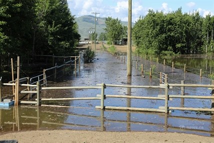 In addition to putting a lot of paddocks under water flooding at the Kamloops Therapeutic Riding Association has cut off the main office from the riding ring and stables.
