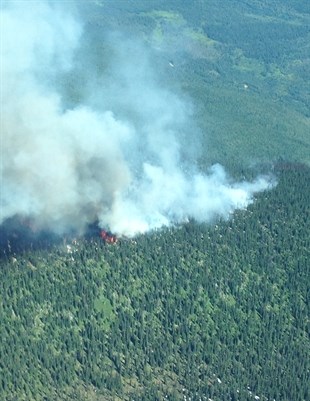 A forest fire burning near Sugar Lake in the North Okanagan on Saturday, July 12, 2014.