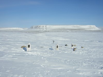 Graves of the crewmen buried on Beechey Island (2004).