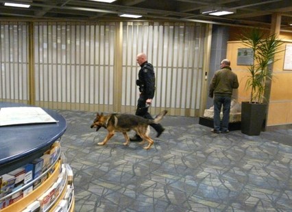 A Kelowna RCMP service dog was used to help search passengers, luggage and the threatened plane at the Kelowna Airport on Saturday, Oct. 25, 2014.
