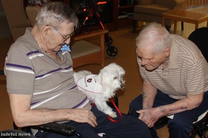 Angelo the therapy dog meets two friends on Monday at the Trinity Care Centre.