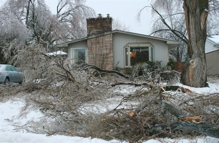 Downed tree branches are shown in front of house in Oakville, Ont., Sunday, Dec. 22, 2013 after an overnight icestorm swept across southern Ontario.