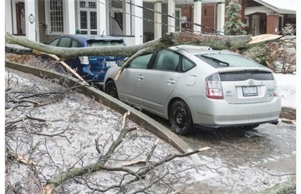 A branch lies across a car after power lines and tree limbs came down in Toronto’s east end on Sunday, December 22, 2013.
