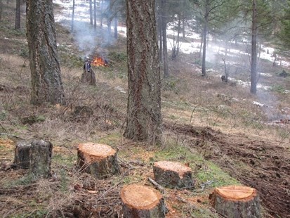 The wildfire fuel modification project underway in Stephens Coyote Ridge Regional Park.