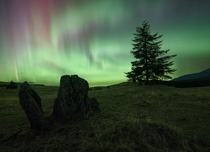 iN PHOTOS: Incredible northern lights show in Kamloops, Okanagan