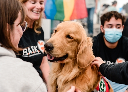 For 10,000 UBCO students, dogs remain best friends and best medicine