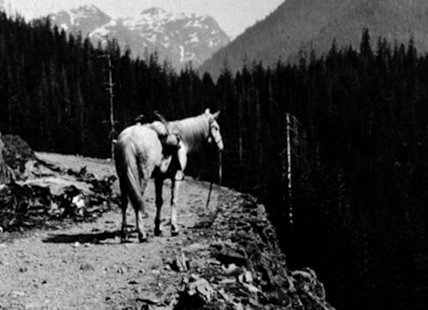 Highway 3 was BC’s first trans-provincial highway despite reverting back to nature