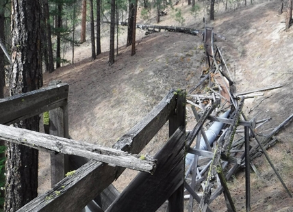 IN PHOTOS: Where to find abandoned flumes in Kamloops and the Okanagan