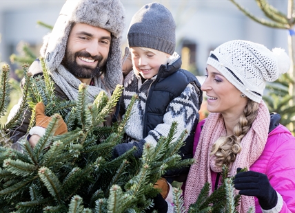 Where have all the Okanagan and Kamloops Christmas tree farms gone?