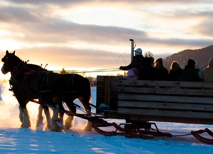 Where to enjoy snowy rides on horse-drawn sleighs in Kamloops, Okanagan