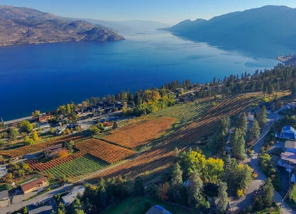 iN VIDEO: This $12M Peachland vineyard could be a winery or a new neighbourhood