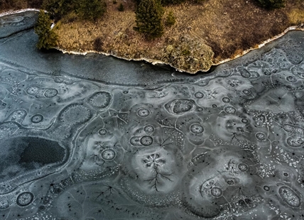 iN PHOTOS: Mother nature's intricate ice designs in Okanagan, Kamloops