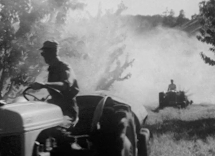 iN VIDEO: Okanagan fruit spraying in 1955 came without today’s safety gear