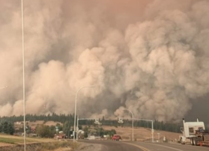 iN VIDEO: Trailer revealed for doc showing how Logan Lake survived 2021 fire