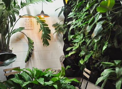 Kelowna's plant haven where exotic plants and the community meet