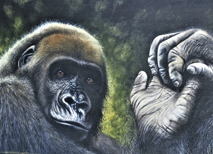 Kelowna wildlife artist inspired by conservation work in Africa