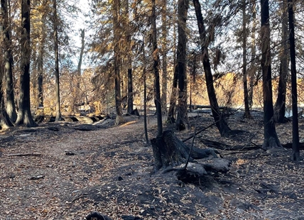 Provincial park devasted by Shuswap wildfire partly reopens to public